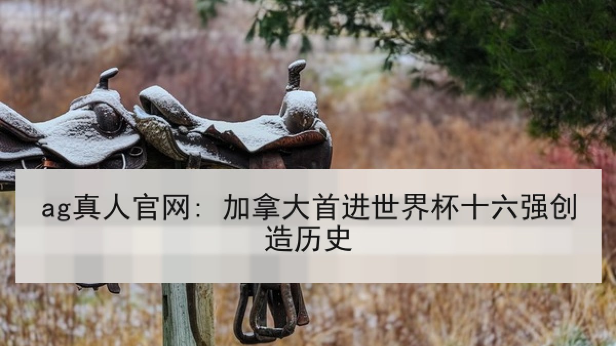 ag真人官网: 加拿大首进世界杯十六强创造历史 ag真人官网: 加拿大首进世界杯十六强创造历史