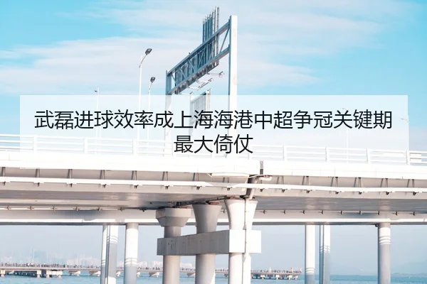 武磊进球效率成上海海港中超争冠关键期最大倚仗