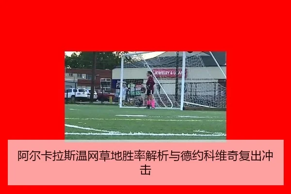 阿尔卡拉斯温网草地胜率解析与德约科维奇复出冲击