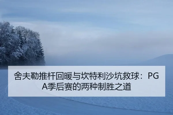 she-fu-lei-tui-gan-hui-nuan-yu-kan-te-li-sha-keng-jiu-qiu-ji-hou-sai-de-liang-zhong-zhi-sheng-zhi-dao-3-171.jpg