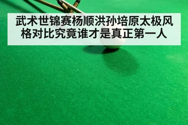 武术世锦赛杨顺洪孙培原太极风格对比究竟谁才是真正第一人