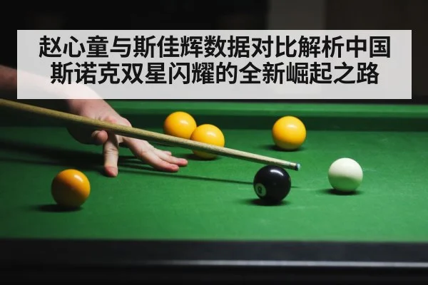 赵心童与斯佳辉数据对比解析中国斯诺克双星闪耀的全新崛起之路