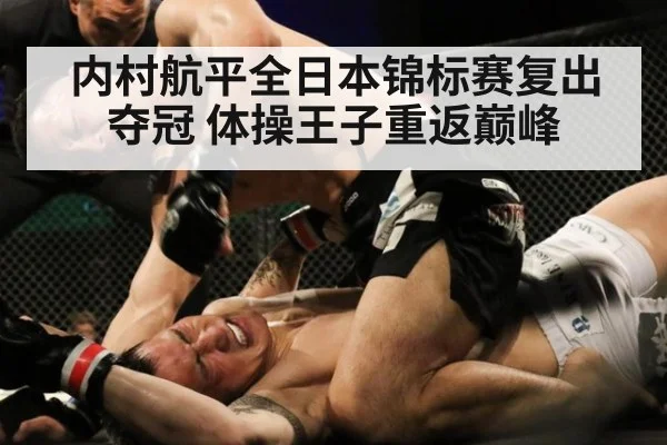 内村航平全日本锦标赛复出夺冠 体操王子重返巅峰