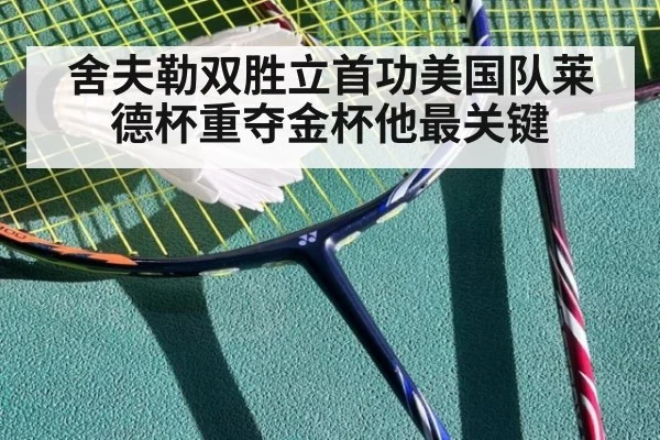 舍夫勒双胜立首功美国队莱德杯重夺金杯他最关键